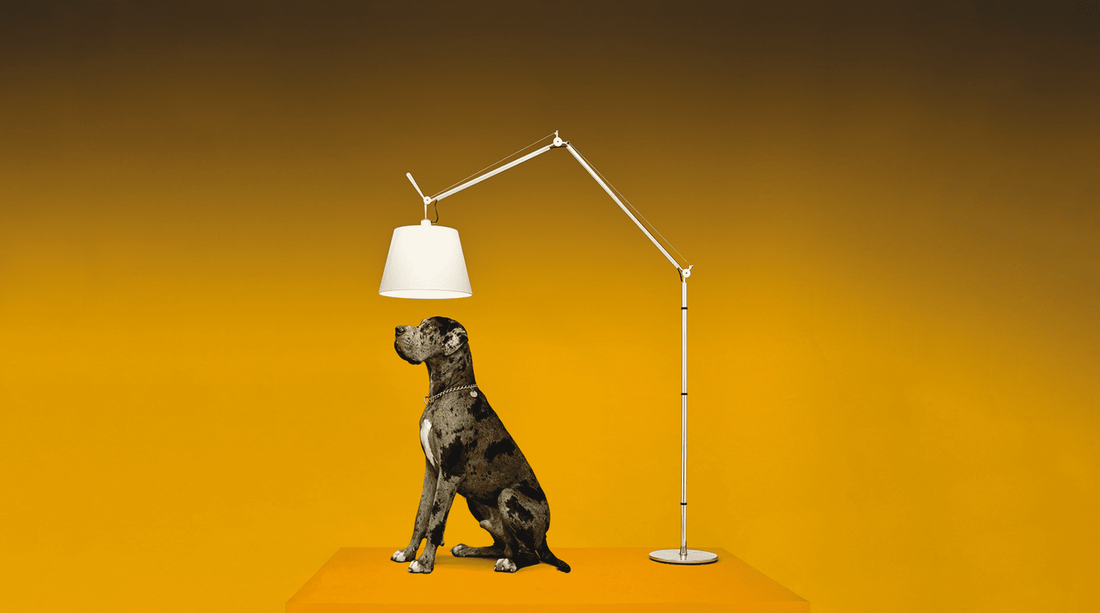 Artemide