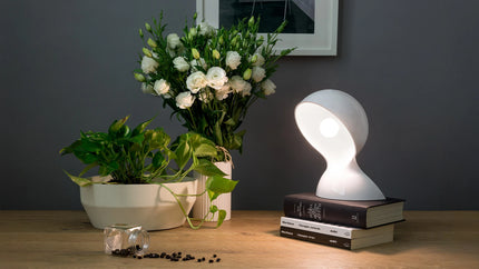 Lampe Dalù blanche allumée sur une pile de livres, près d’un bouquet de fleurs blanches